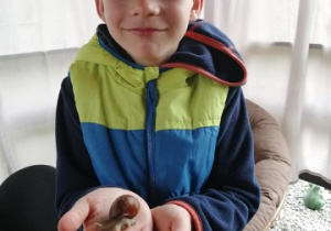 chłopiec trzyma na dłoni żywego ślimaka