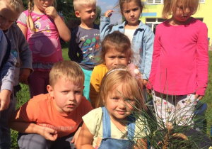 grupa dzieci w ogrodzie przedszkolnym, przy drzewku, które zasadziły , pozuje do zdjęcia