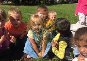 grupa dzieci w ogrodzie przedszkolnym, przy drzewku, które zasadziły , pozuje do zdjęcia