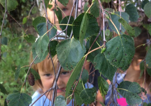 dziewczynki ukryte za gałązkami drzewa