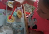 dziewczynka wykonuje eksperyment z ziemniakami