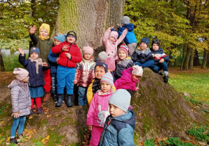 grupa dzieci pozuje do zdjęcia przy wielkim drzewie