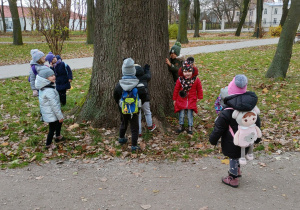 grupa dzieci stoi przy drzewie