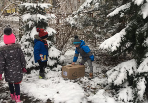 troje dzieci w przedszkolnym "lasku", na śniegu stoi duże pudło, dzieci stoją obok niego