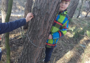 chłopiec w kolorowej kurtce ukryty za drzewem