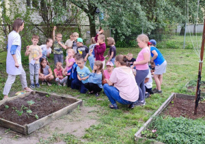 dzieci z nauczycielkami w ogródku - warzywniaku