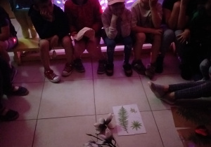 grupa dzieci w szatni siedzi w kręgu, przed nimi ułożone puzle : z kwiatem paproci, za jedną z dziewczynek migocze kolorowe światło