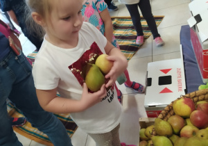 dziewczynka częstuje się owocami, trzyma gruszkę oraz jabłko