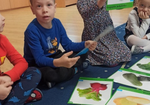 Dzieci siedzą na dywanie podczas zajęć. Prezentują ilustracje z warzywami.