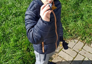 Chłopiec pozuje do zdjęcia podczas zabawy w ogrodzie przedszkolnym. W ręku trzyma śliwkę.