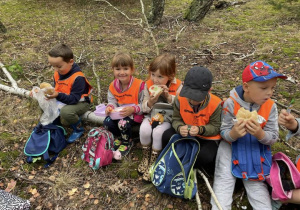 grupa dzieci w kamizelkach odblaskowych siedzi na zwalonym pniu i je posiłek