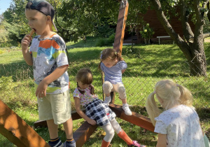 grup dzieci bawi się na drewnianej konstrukcji