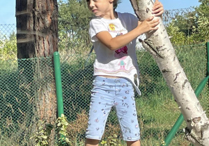 dziewczynka stoi na konstrukcji z brzozy