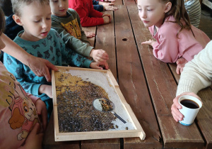 grupa dzieci w pomieszczeniu, siedzą przy długim stole, biorą udział w warsztatach o pszczołach , prowadząca pokazuje im plansze edukacyjne