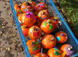 Wycieczka do Dobronianki