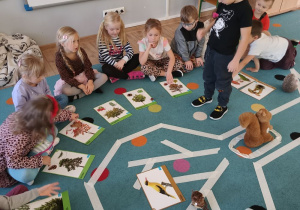 jeden chłopiec stoi a pozostała grupa dzieci siedzi na dywanie, na którym naklejony jest schemat drzewa, obok leżą plansze edukacyjne przedstawiające rózne gatunki drzew