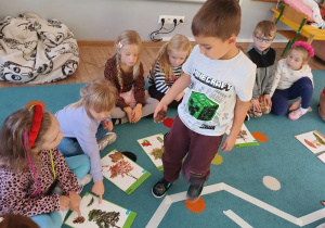jeden chłopiec stoi a pozostała grupa dzieci siedzi na dywanie, na którym naklejony jest schemat drzewa, obok leżą plansze edukacyjne przedstawiające rózne gatunki drzew