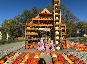 Biedronki w Dobroniance