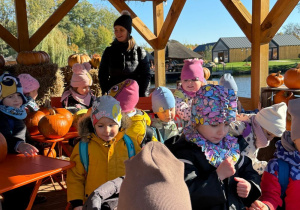 dzieci w altanie, w róznych miejscach leżą dynie, obok stoi nauczycielka