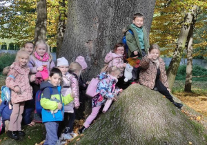 grupa dzieci wspina się na jedno z drzew