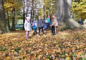 grupa dzieci biega pomiędzy drzewami w parku, pod nogami żółte liście