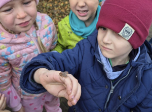 Jesienny las woła nas!