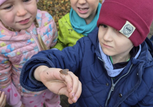 Chłopiec prezentuje ćmę, która usiadła na jego dłoni.