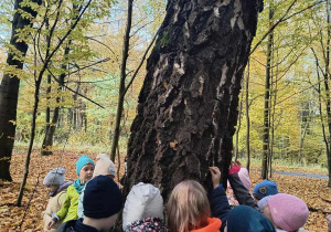 Grupa dzieci dotyka kory drzewa, chcąc zapoznać się z jej fakturą.