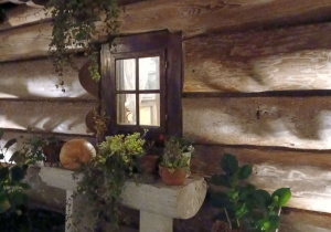 stara chata Gniazda w Felicjanowie