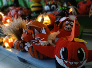 Konkurs na najciekawszą dynię halloweenową