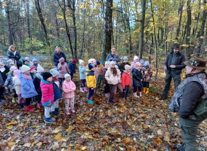 Wycieczka do lasu