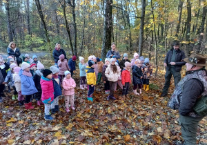 grupa dzieci i nauczycielki w lesie, słuchają opowiadania pana leśliczego