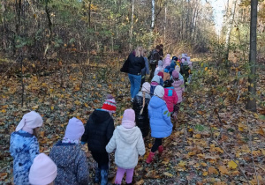 grupa dzieci i nauczycielki idą leśną ścieżką