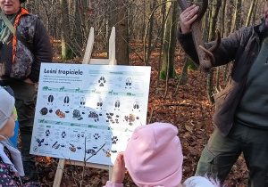 grupa dzieci w lesie, stoją przy tablicy edukacyjnej o leśnych tropicielach, oglądają poroże pokazywane przez leśniczego