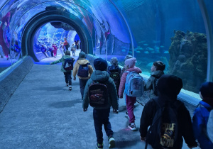 Dzieci spacerują w oceanarium podczas wizyty w zoo.